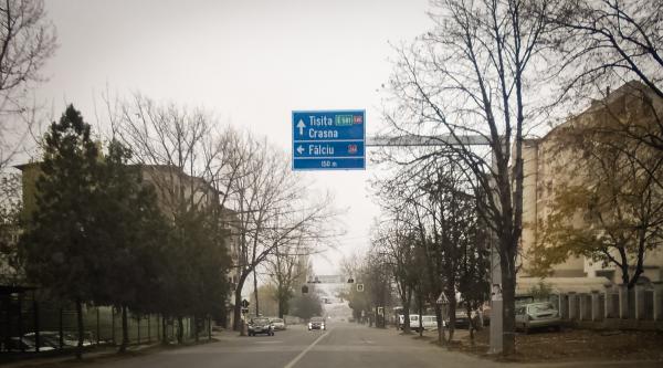 Loial Portofoliu portofoliu 226